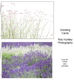 Rob Huntley