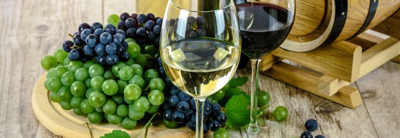 Vintner's Cellar Ottawa
